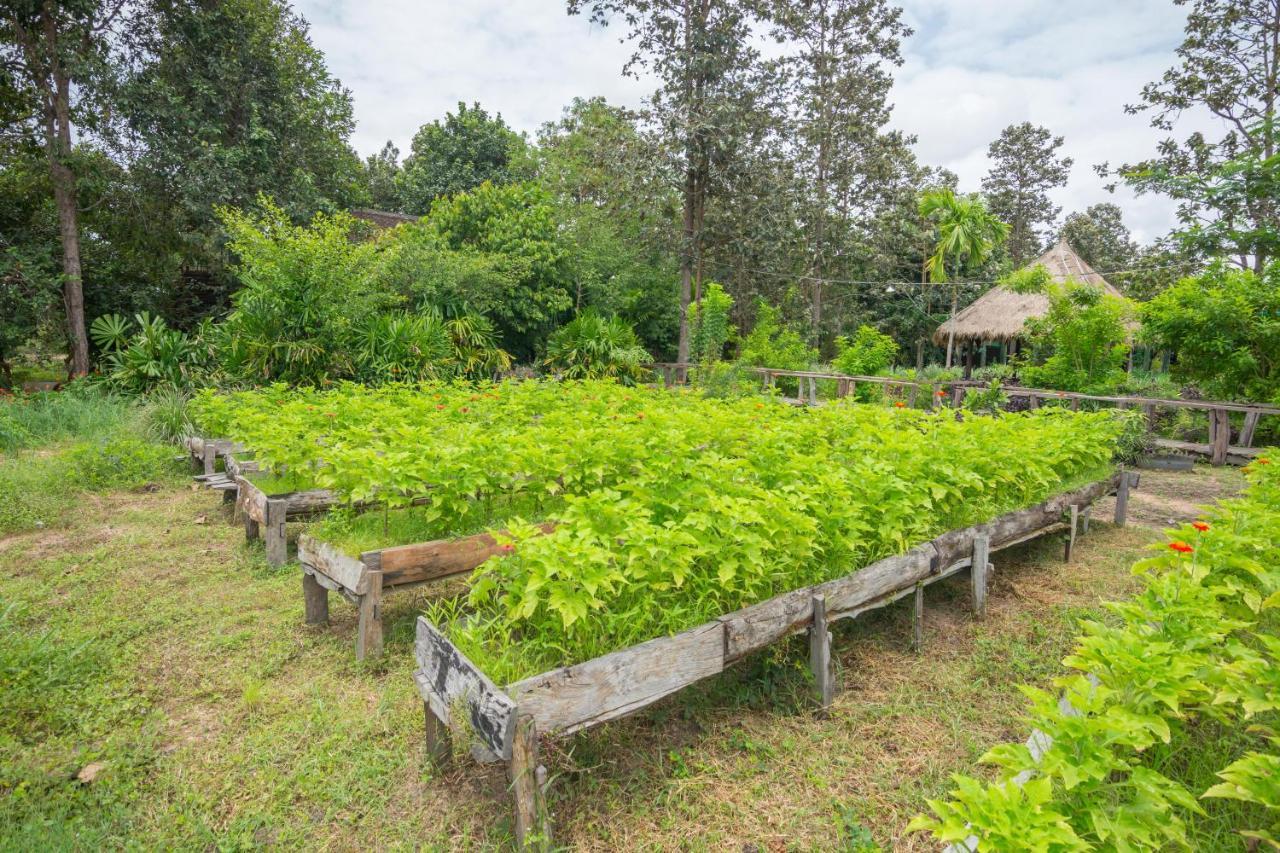 Bong Thom Forest Lodge Siem Reap Dış mekan fotoğraf